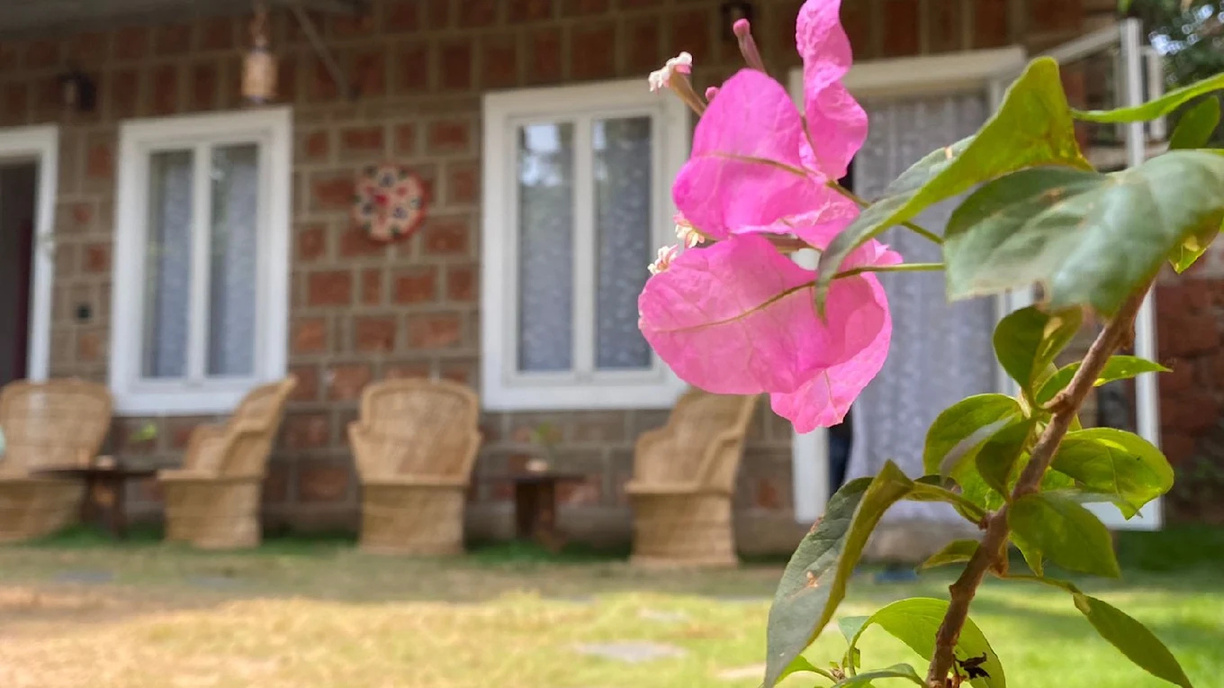 Garden courtyard with bougainvillea