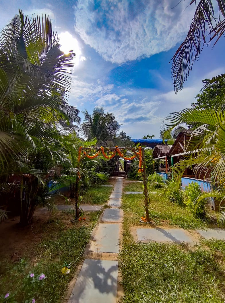 Palm-lined garden path at a Goa property